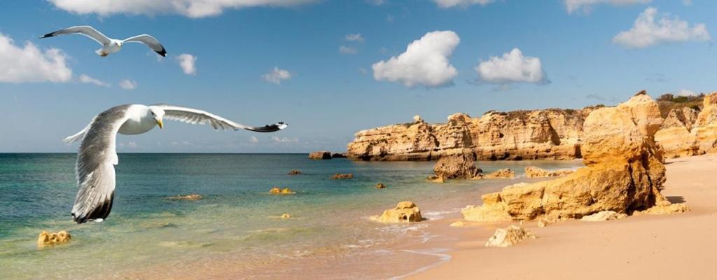 Espacoso Apt T2, Em Olhos Agua Albufeira Exterior foto